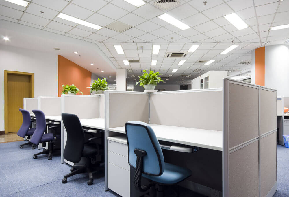 //demo.6t5workspace.com/wp-content/uploads/2024/02/6a1eb9dbfb.jpg